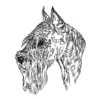 Standard Schnauzer Face Image in side view used to print on fabric