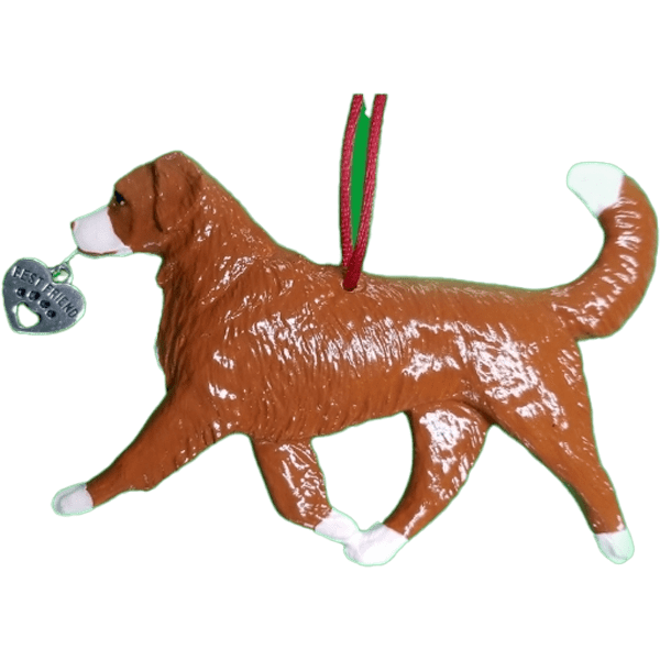 Nova-Scotia-Duck-Tolling-Retriever-Christmas-Ornament234