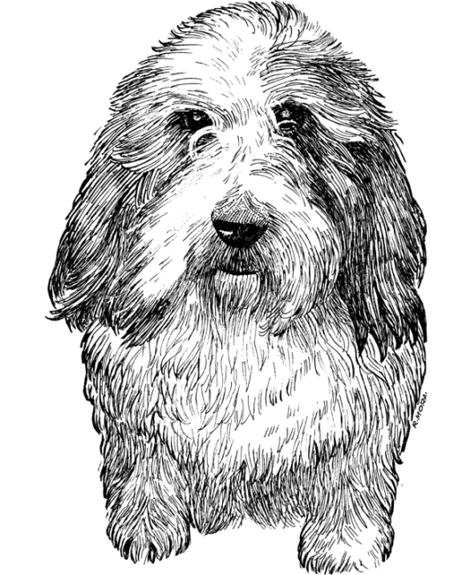 PBGV1
