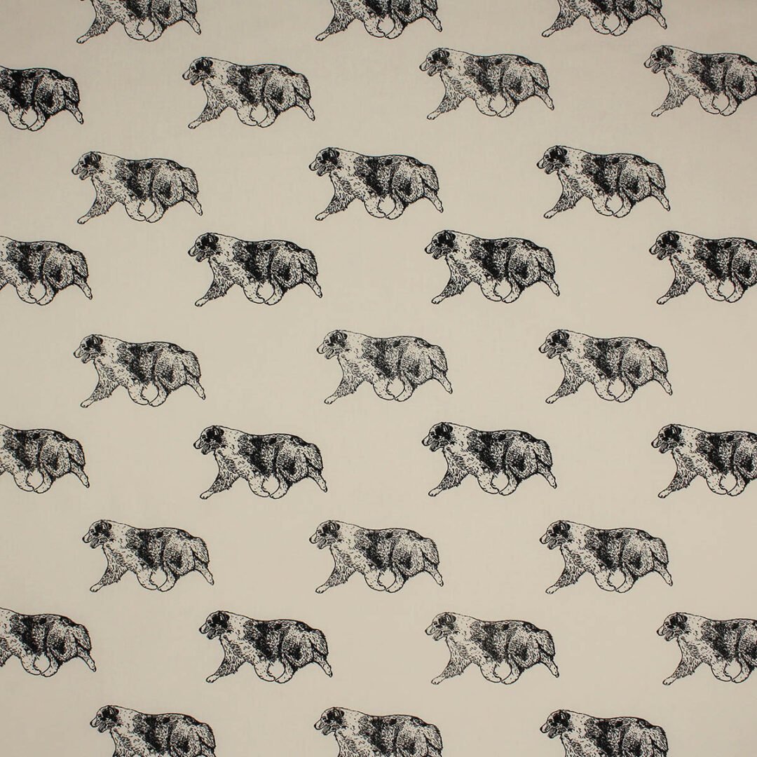 Australian-Shepherd fabric, dog is gaiting on light mocha background fabric