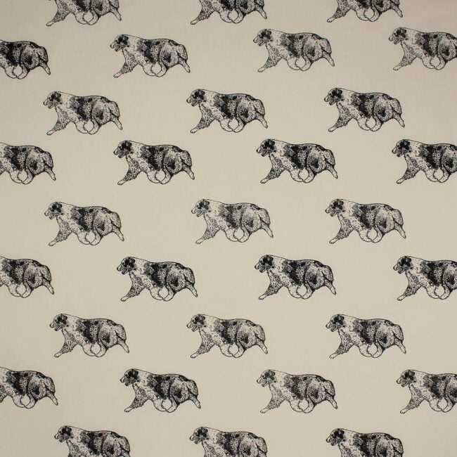 Australian-Shepherd fabric, dog is gaiting on light mocha background fabric