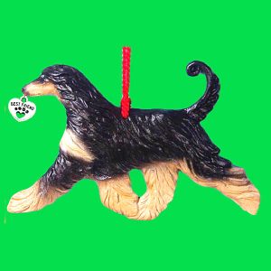 Afghan Hound Black and Tan
