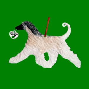 Afghan Hound Cream
