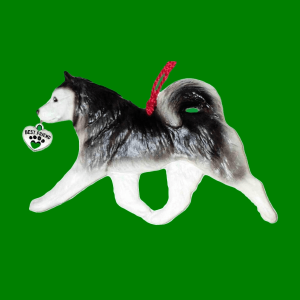 Alaskan Malamute