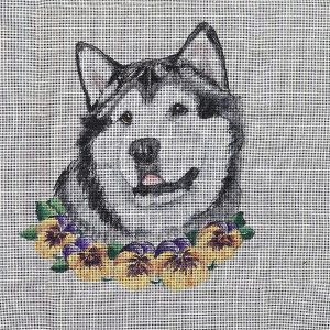 Alaskan Malamute Needlepoint Kit