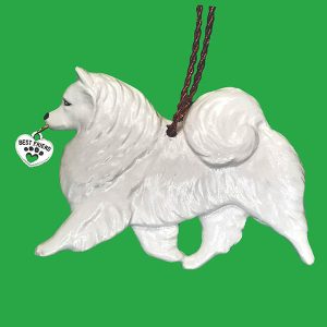 American Eskimo