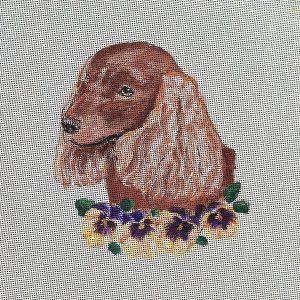 American Water Spaniel Needlepoint Kit