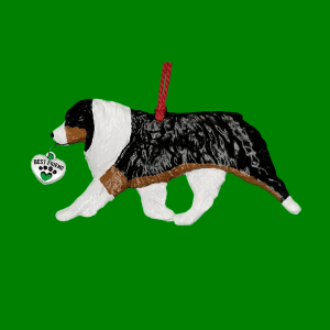 Australian Shepherd Black Tri