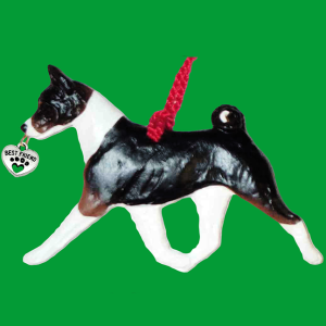 Basenji Tri Colored