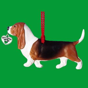Basset Hound