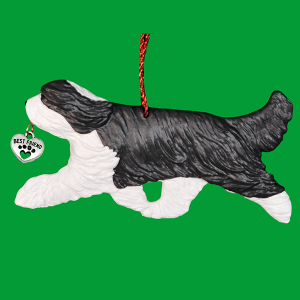 Bearded Collie