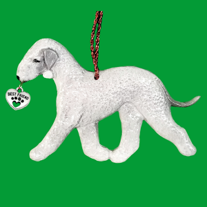 Bedlington Terrier Blue