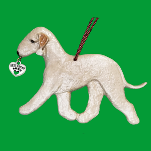 Bedlington Terrier Sandy