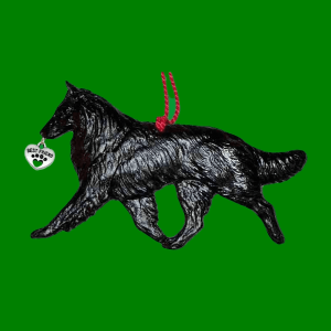 Belgian Sheepdog