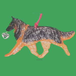 Belgian Tervuren