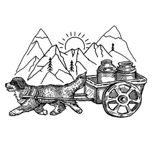 Bernese Mountain Dog2