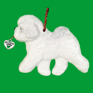 Bichon Frise