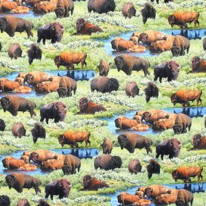 Bison Grazing Printed Fabrics - (67)