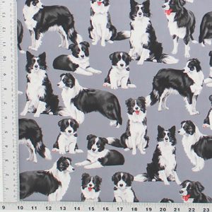 Border Collies with Puppies Print Fabric - (64a)