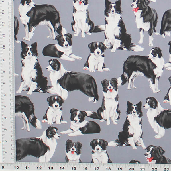 Border Collies with Puppies Print Fabric - (64a)