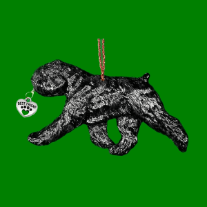 Bouvier