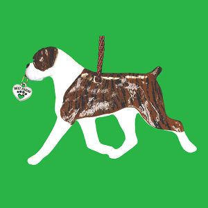 Boxer Uncropped Brindle and White