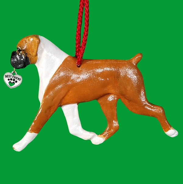 Boxer Uncropped Fawn-White