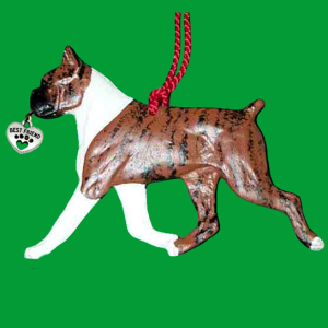 Boxer-Cropped-Brindle-and-White