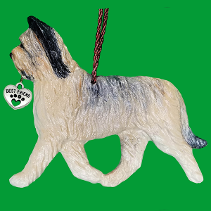 Briard Tawny