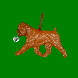 Brussels Griffon Red