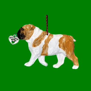 Bulldog