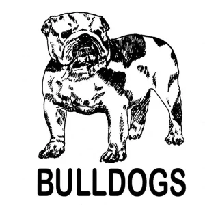 Bulldog3