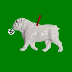 Bulldog White