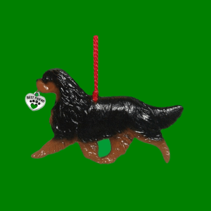 Cavalier1