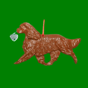 Cavalier Ruby