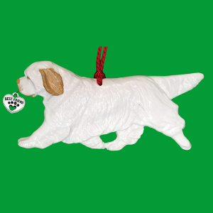 Clumber Spaniel
