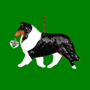 Collie