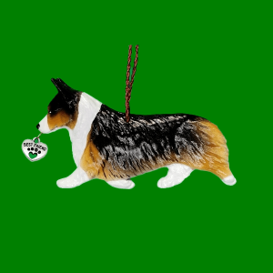 Corgi Pemi