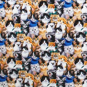 Cute Kitties Print Fabric - (27)