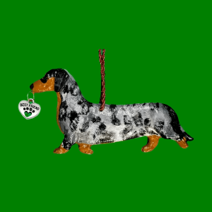 Dachshund Dapple