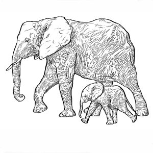 Elephant Mom with Baby