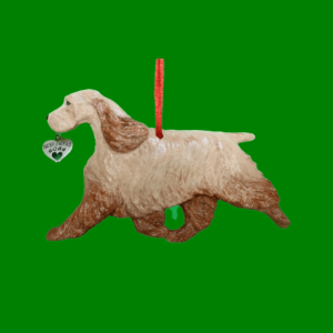 English Cocker Spaniel