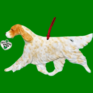 English Setter Orange