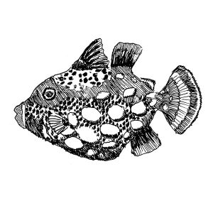 Fish Trigger