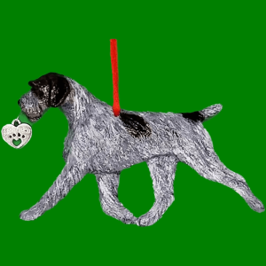 German Wirehaired
