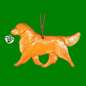 Golden Retriever Gold
