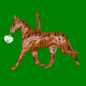 Great Dane Brindle1