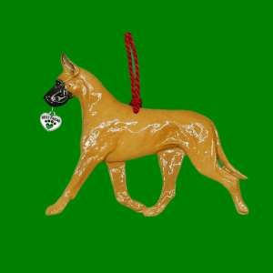 Great Dane Fawn1
