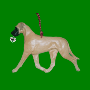 Great Dane Fawn3