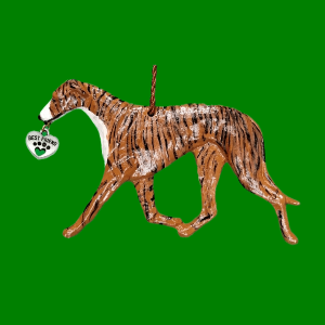 Greyhound Brindle